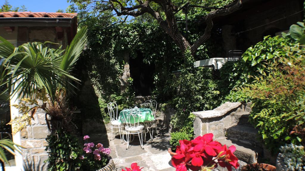 Oasis Family Piran