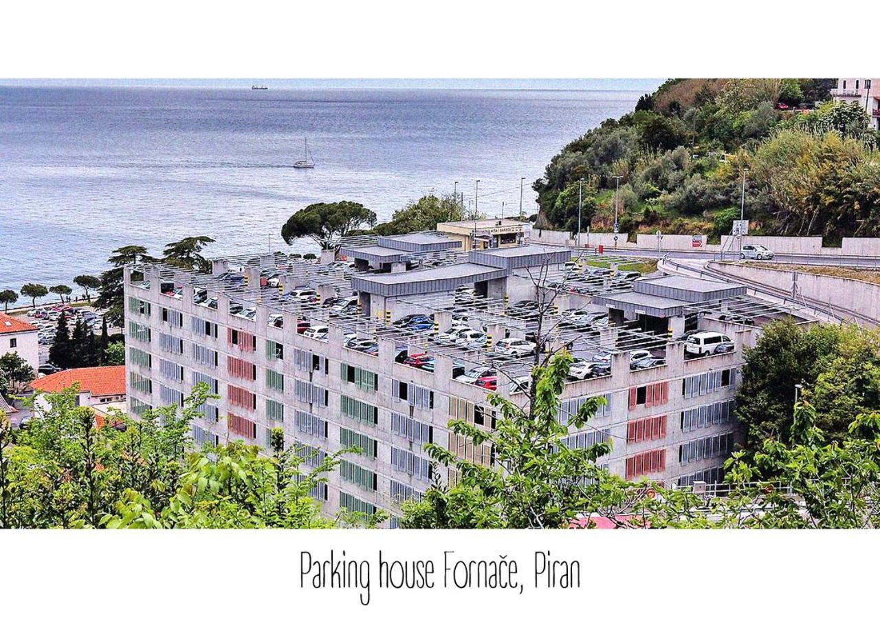 Apartman Oasis Family