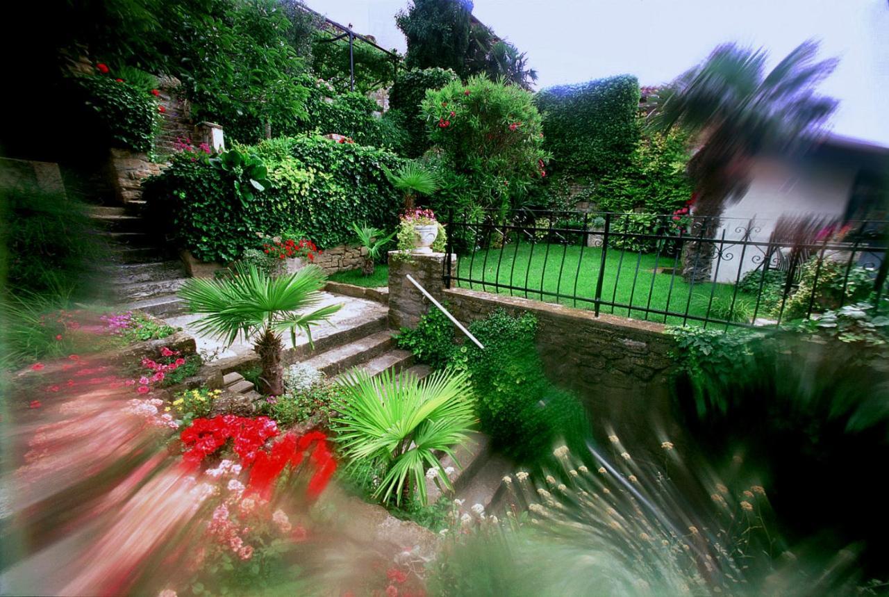 Oasis Family * Piran