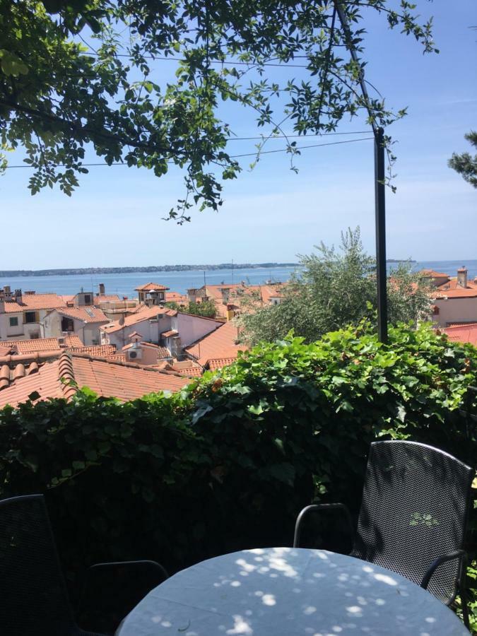Oasis Family * Piran