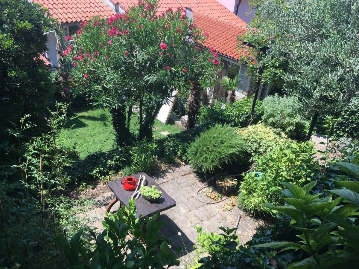 Apartmán Oasis Family Piran